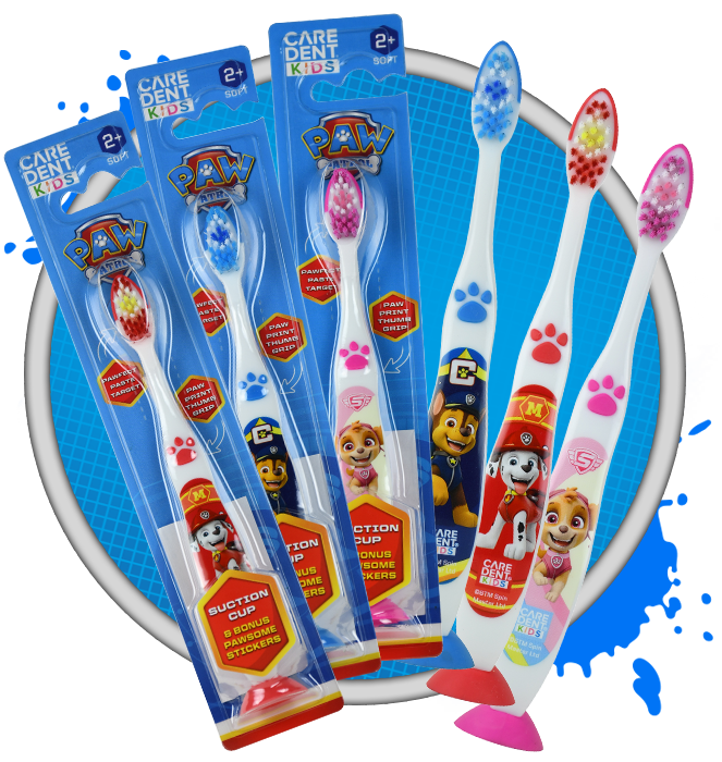 NEW_PP_TOOTHBRUSHES